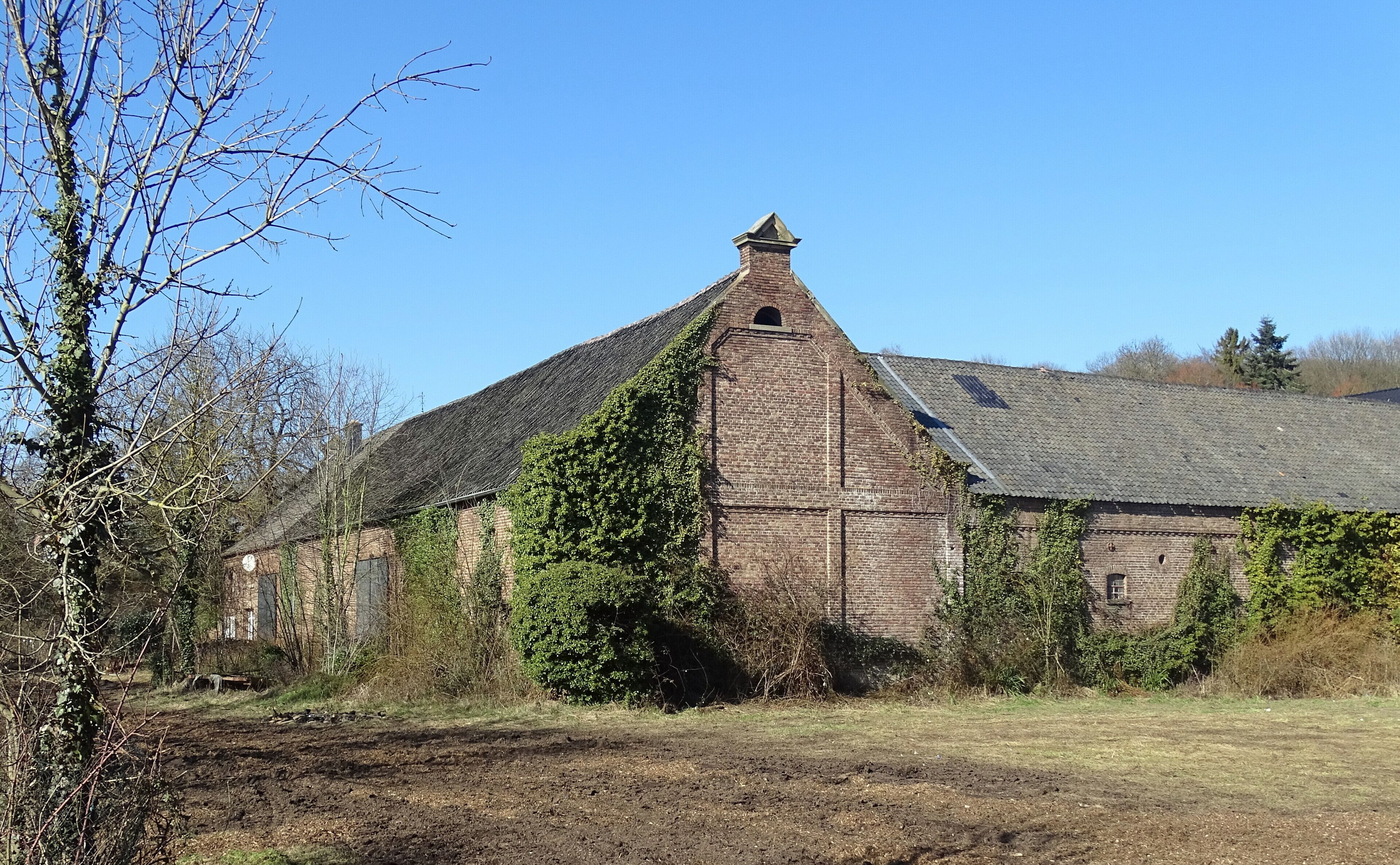 Gutshof Burg Metternich in Metternich, Wasserburgstraße: Teilansicht