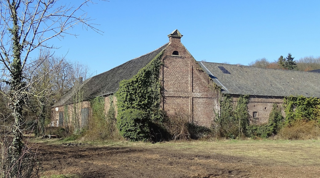 Gutshof Burg Metternich in Metternich, Wasserburgstraße: Teilansicht