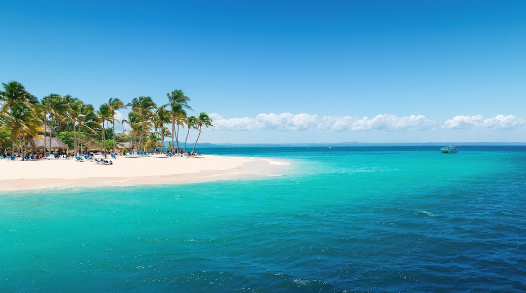 Aerial view over Caribbean Sea and Exotic Palm trees on Bacardi Island Cayo Levantado Samana Bay Dominican Republic