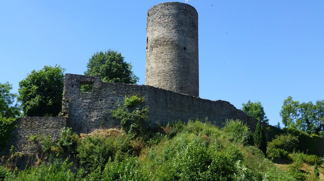 Burg Altweilnau; Blick von der Weilnauer Straße in südwestliche Richtung zur Burganlage