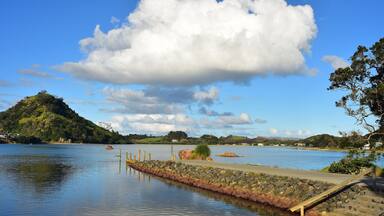 Stone wharf in Pataua River estuary from Pataua North with island in background. Location: Pataua North New Zealand