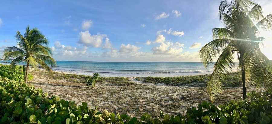 Panoramic view of the beautiful idyllic Welches Beach in Oistins, Barbados (Caribbean island) with unspoilt nature, palm trees, white sand and a picturesque turquoise ocean with waves on a sunny day