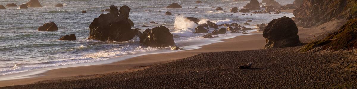 Portuguese beach near Sereno del Mar. Scenic California coastline during sunset with waves crashing onto the rocks