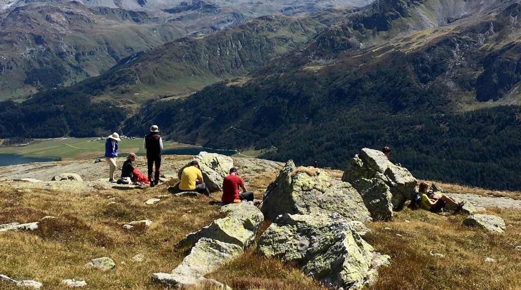 Overlooking the valley where the movie Heidi was filmed. Switzerland - one of my all time favourite places to go hiking.