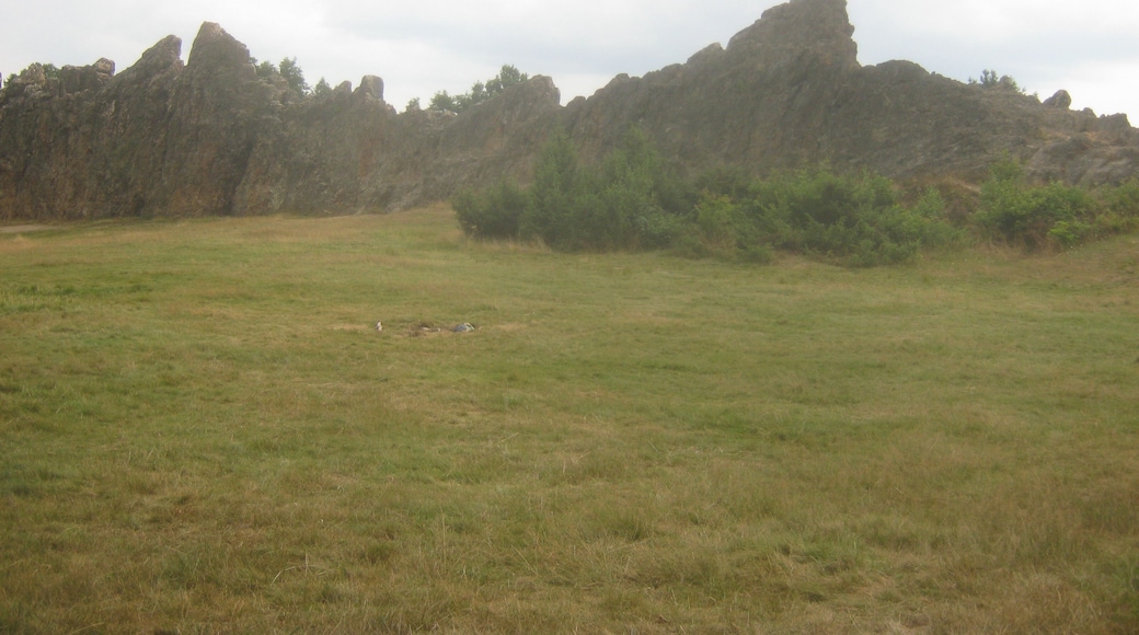 Eschbacher Klippen Camera location 50° 21′ 42.43″ N, 8° 32′ 16.36″ E View this and other nearby images on: OpenStreetMap - Google Earth 50.361785; 8.537877