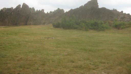 Eschbacher Klippen Camera location 50° 21′ 42.43″ N, 8° 32′ 16.36″ E View this and other nearby images on: OpenStreetMap - Google Earth 50.361785; 8.537877