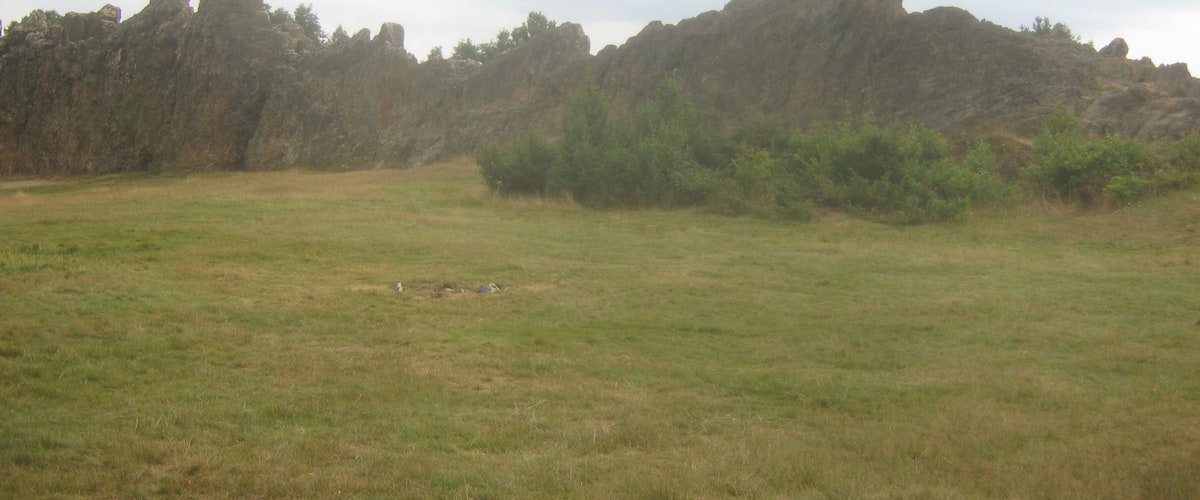 A grassy field with a rocky hill in the background.
