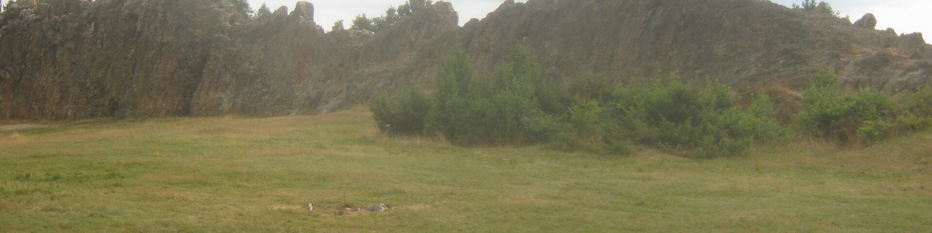 A grassy field with a rocky hill in the background.