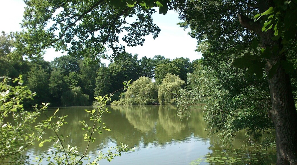 LSG-Stadtgebiet Düsseldorf-Eller Zameksee-VIII
