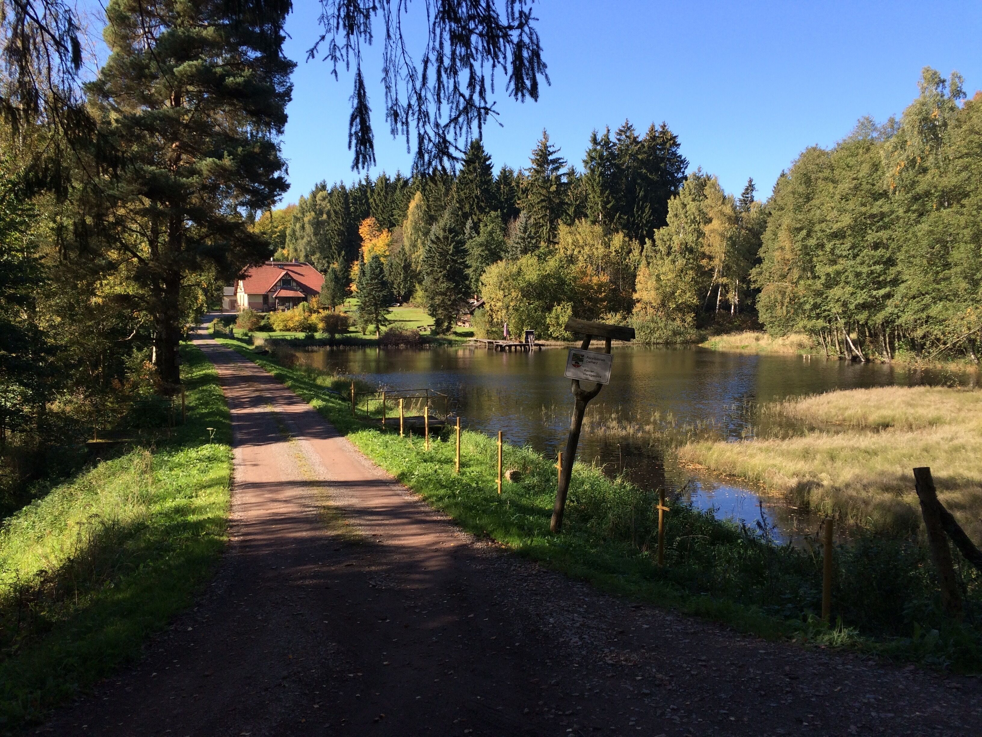 A pathway leading to a lake with a house in the background.