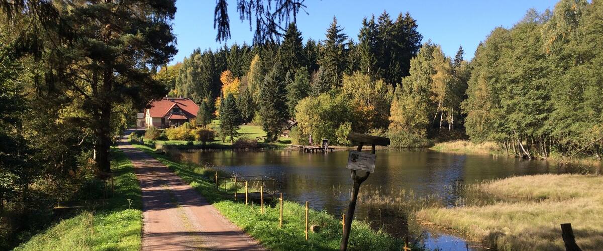 A pathway leading to a lake with a house in the background.