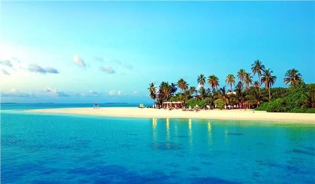 A beach with clear turquoise water, palm trees, and a sandy shore.