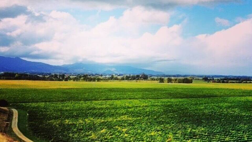 A beautiful spot to try some wine, get something to eat, take a bike ride, or check out the Falconry