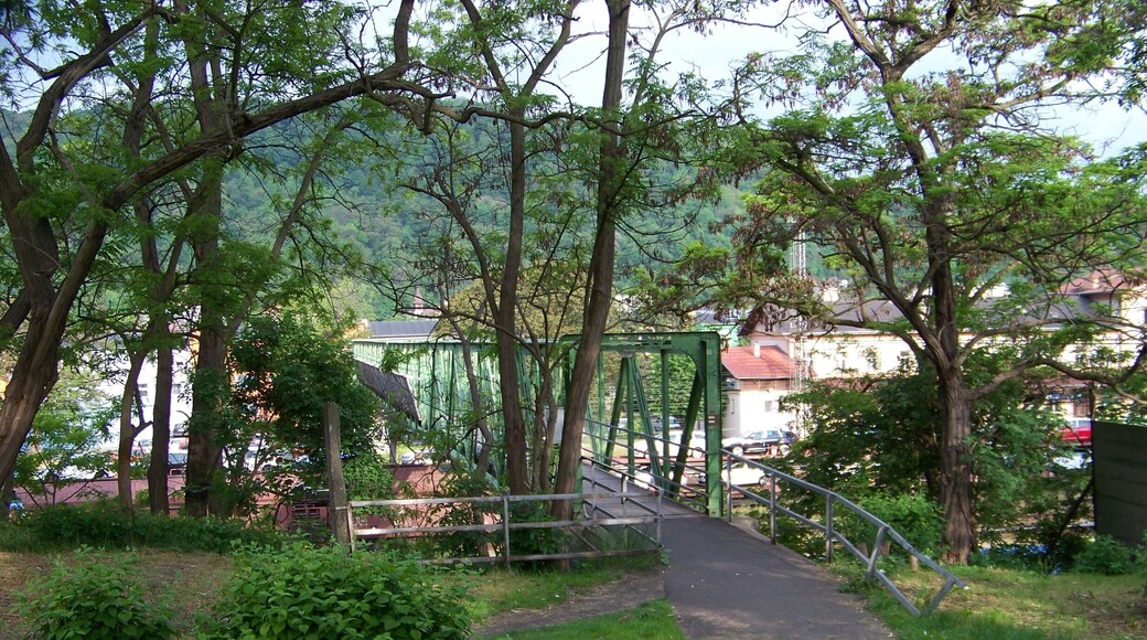 Ústí nad Labem-Střekov, Ústí nad Labem District, Ústí nad Labem Region, Czech Republic. Dobrovského street, a footbridge over the train station Ústí nad Labem-Střekov.