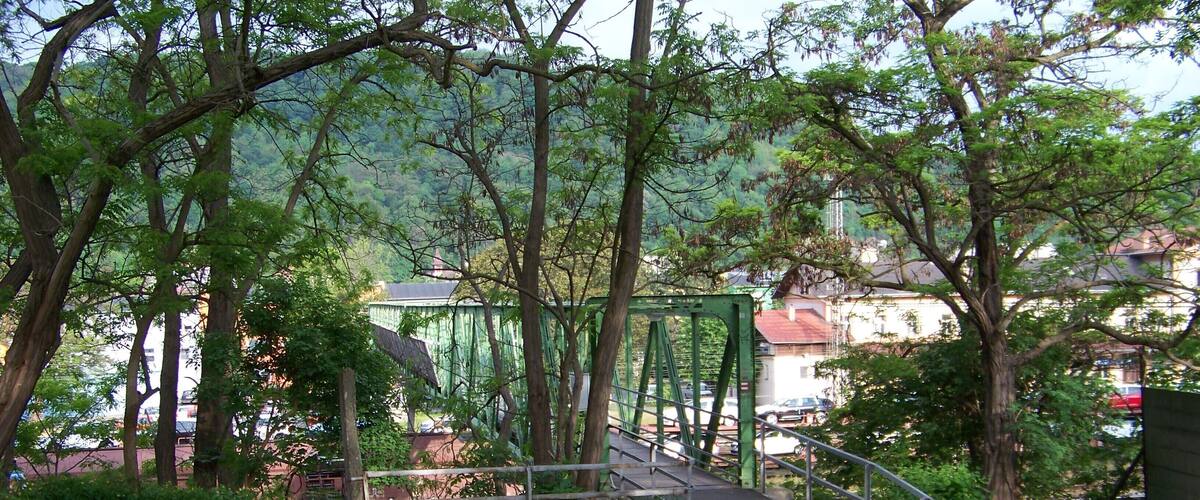 A green metal bridge over a paved path surrounded by trees and grass.
