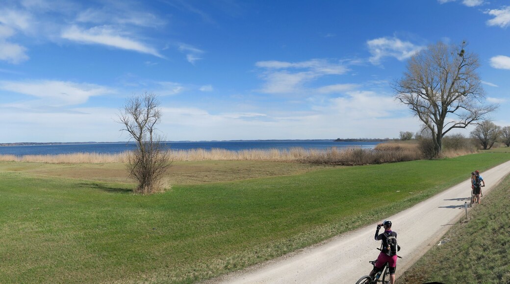 Mit dem Rad rund um den Chiemsee: Bei Feldwies an der A8