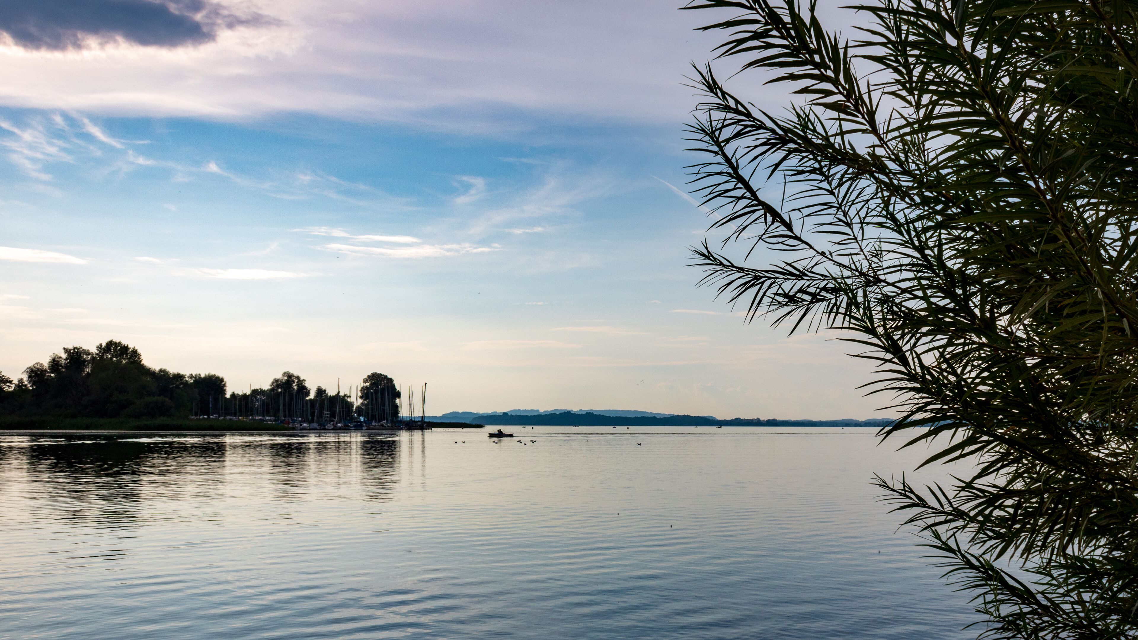 Calm Lake Chiemsee landscape with tree frame in Bavaria, Germany