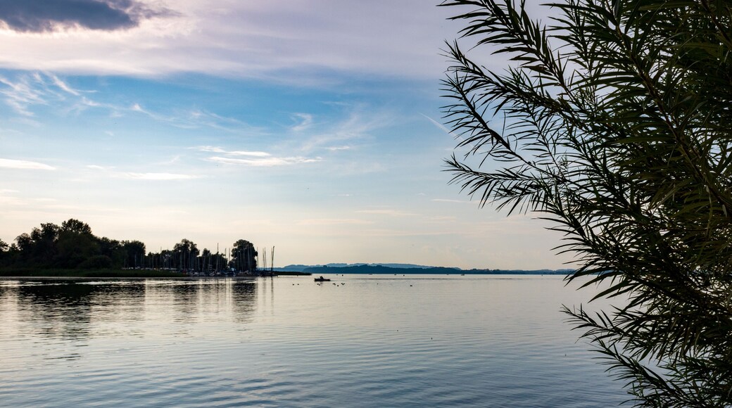 Calm Lake Chiemsee landscape with tree frame in Bavaria, Germany
