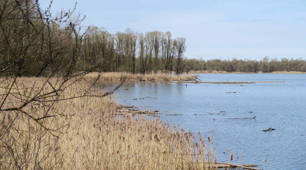 Mit dem Rad rund um den Chiemsee: Bei Feldwies