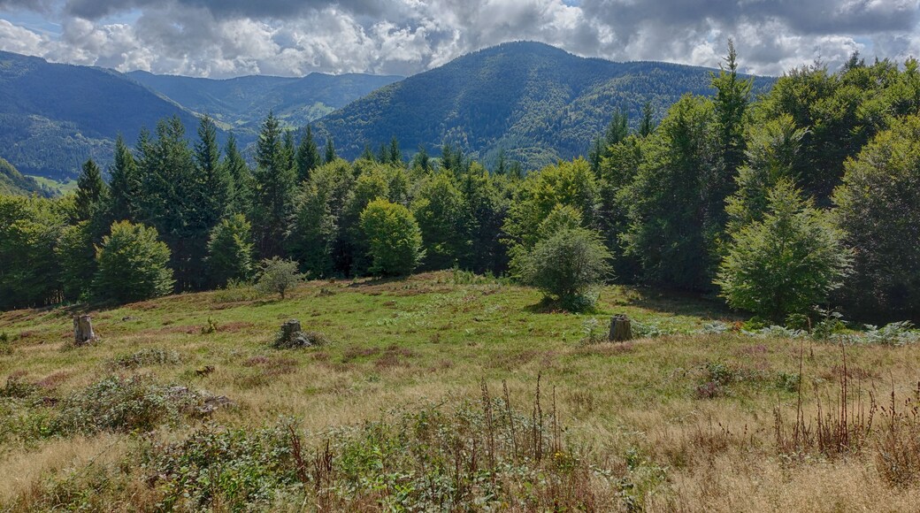 Felspartien der kleinen und großen Utzenfluh aus Präkulmgestein, Porphyren, Grauwacken und Biotitgraniten; interessante Flora und Fauna; bei Erweiterung 2011 wurden die umliegenden Weidfelder einbezogen.