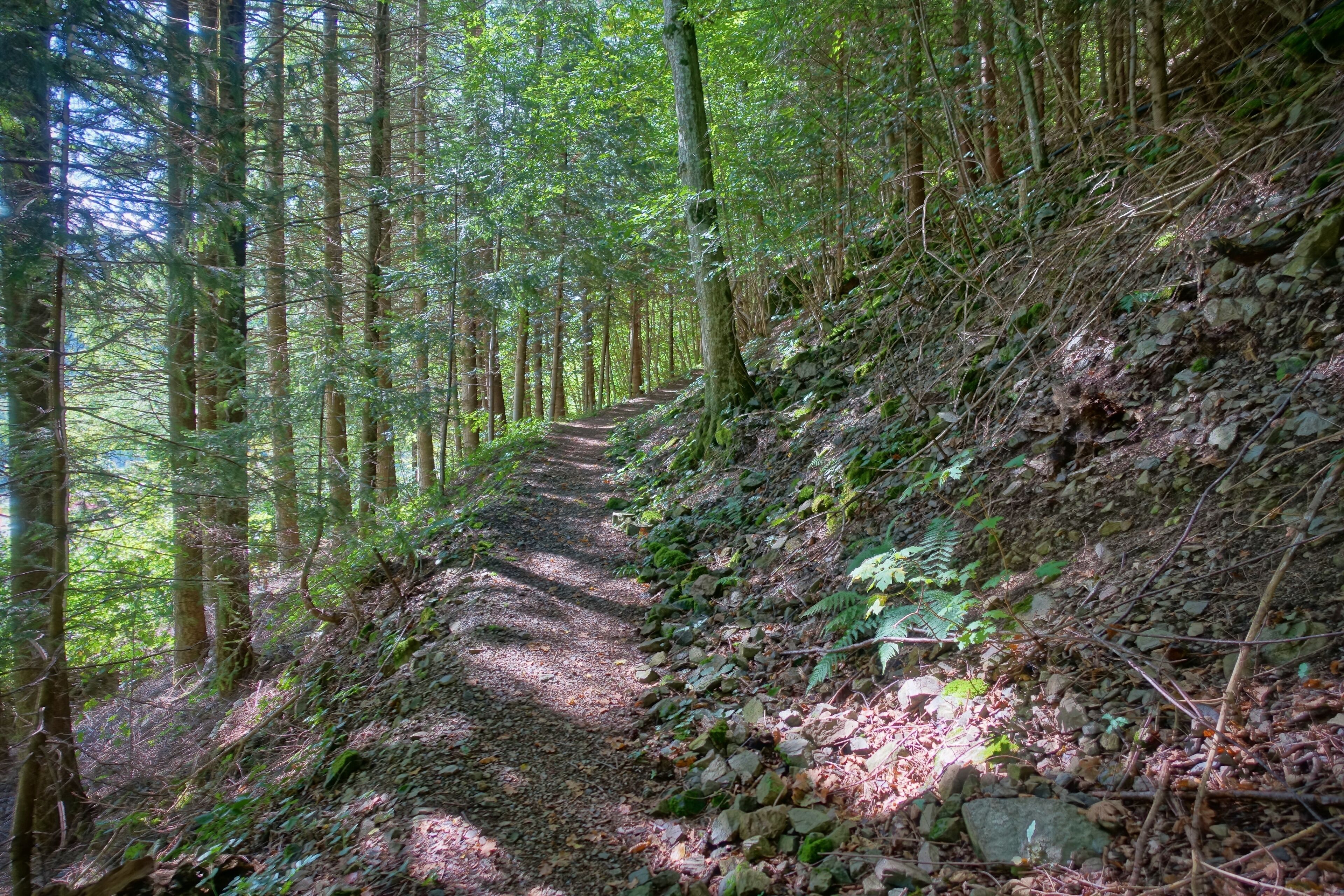 Felspartien der kleinen und großen Utzenfluh aus Präkulmgestein, Porphyren, Grauwacken und Biotitgraniten; interessante Flora und Fauna; bei Erweiterung 2011 wurden die umliegenden Weidfelder einbezogen.