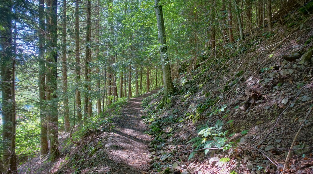 Felspartien der kleinen und großen Utzenfluh aus Präkulmgestein, Porphyren, Grauwacken und Biotitgraniten; interessante Flora und Fauna; bei Erweiterung 2011 wurden die umliegenden Weidfelder einbezogen.