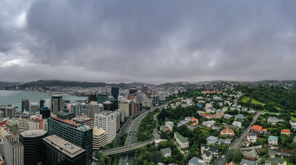 Wellington CBD