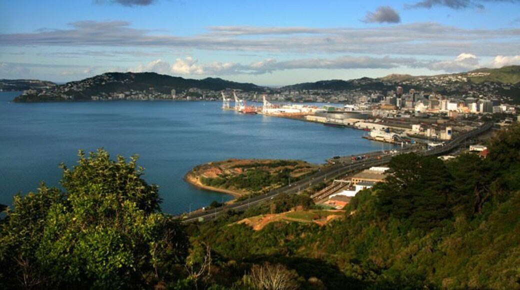 A view of Port Nicholson Wellington New Zealand from Khandallah looking towards Mount Victoria