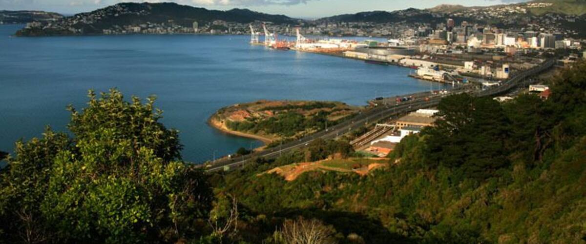 A view of Port Nicholson Wellington New Zealand from Khandallah looking towards Mount Victoria