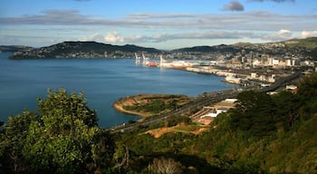 Wellington CBD