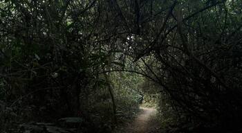 Ramchandrapur