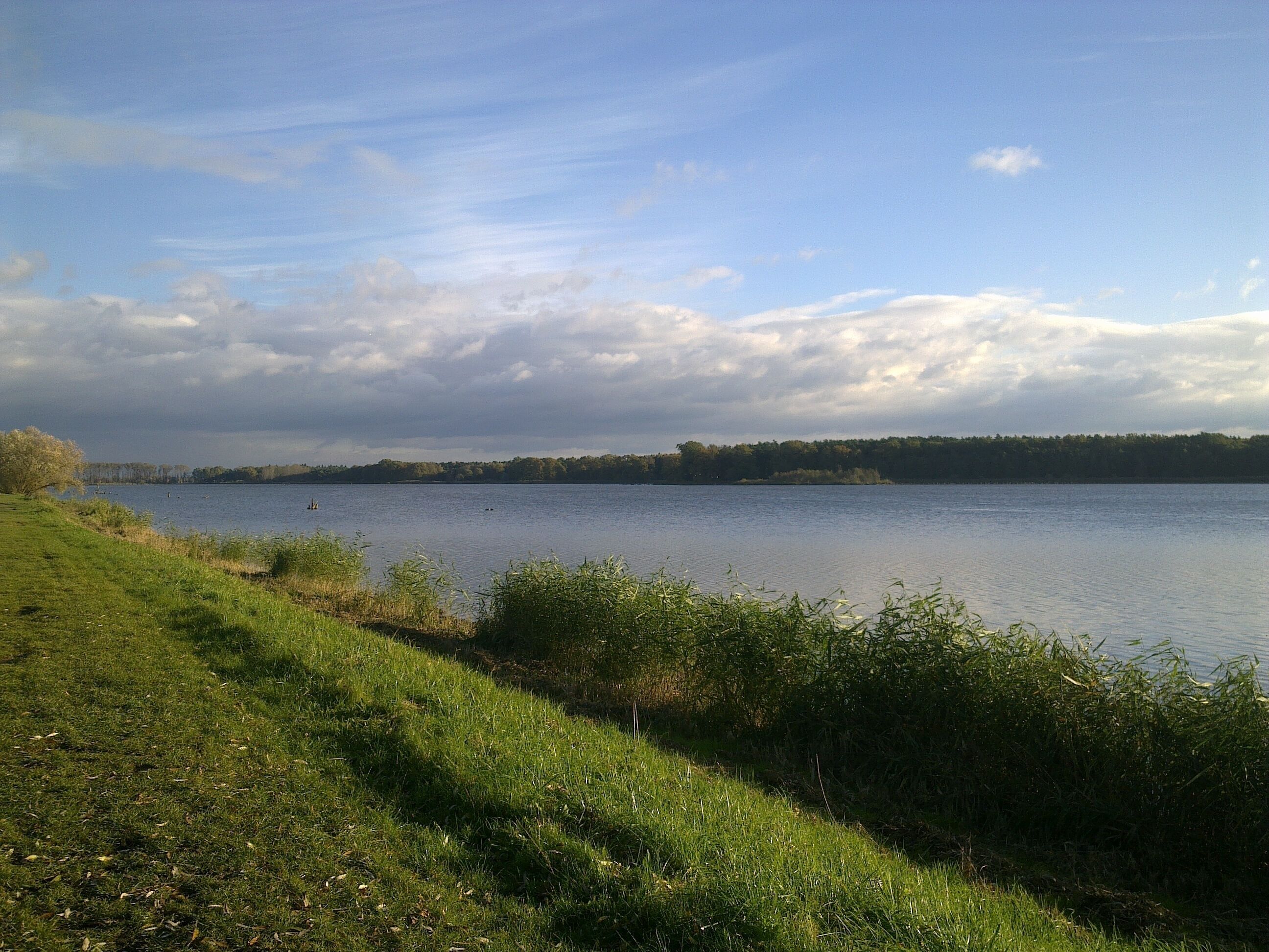 A lake with grassy banks and a forested shoreline.