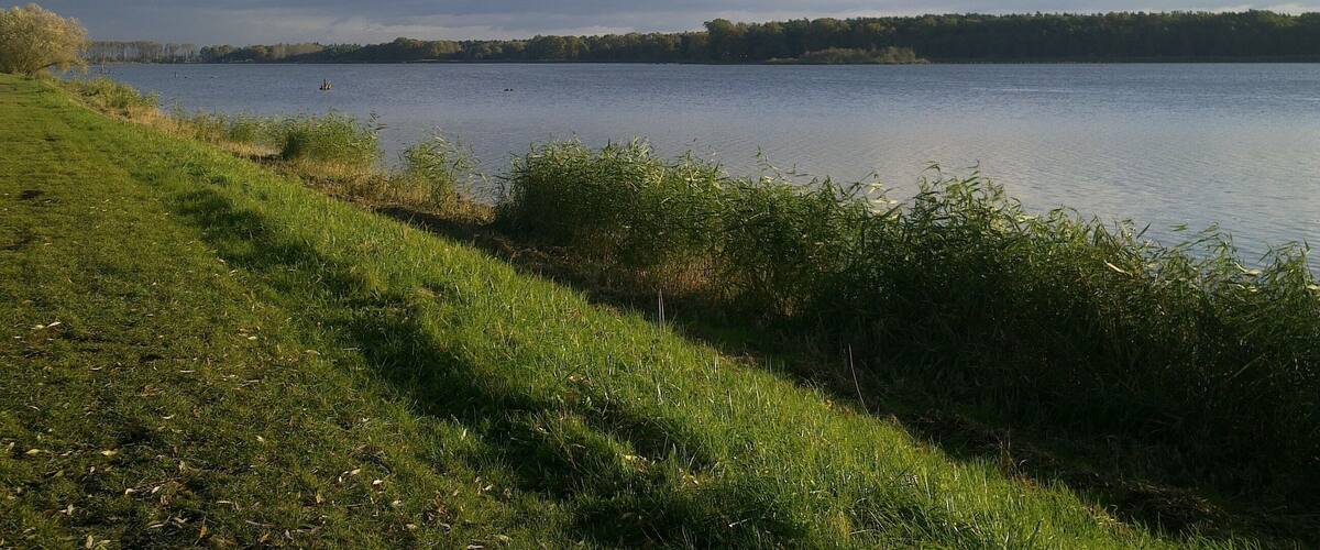 A lake with grassy banks and a forested shoreline.