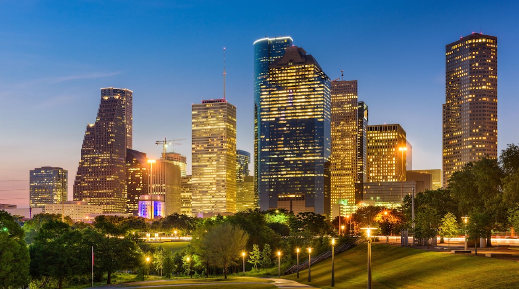 Houston Texas Skyline and Park