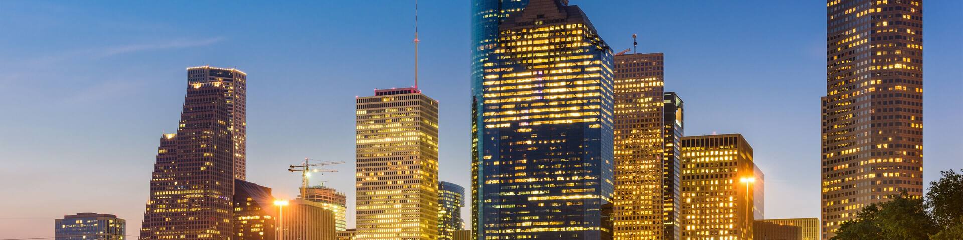 Houston Texas Skyline and Park