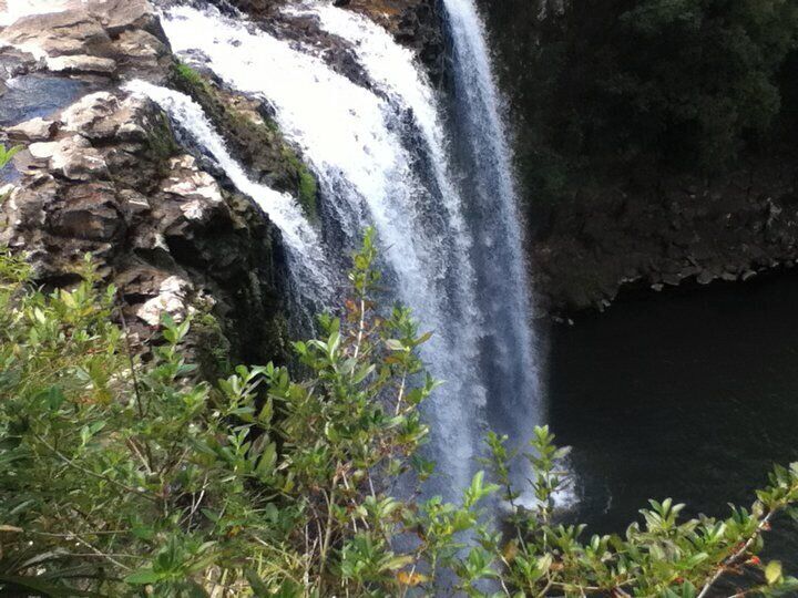 Nice flowing waterfall in Whangarei.