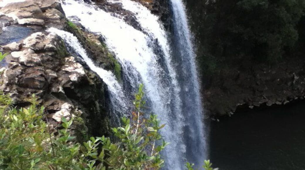 Nice flowing waterfall in Whangarei.