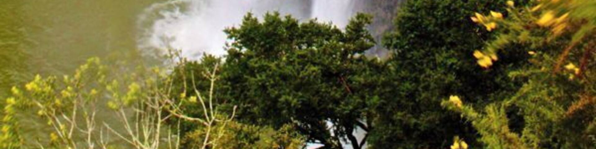 The 24 metre high Whangarei Falls is known as the most photogenic waterfall in all of New Zealand. Because of its ease of access, picturesque bush setting, and guaranteed 365 days per year flow, it is a must see if you are in the Whangarei area.
The falls is a pleasant place to enjoy a picnic or a walk amidst the native bush.
Read more: http://www.ytravelblog.com/whangarei-falls-the-most-photogenic-in-new-zealand/