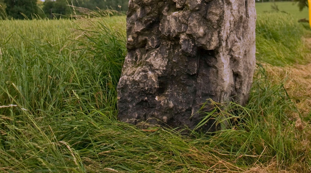Menhir Hoher Stein in Döben