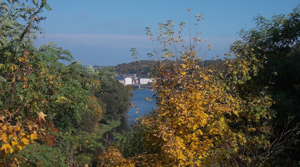 View of the Mulde river from Döben Castle (Grimma, Leipzig district, Saxony)