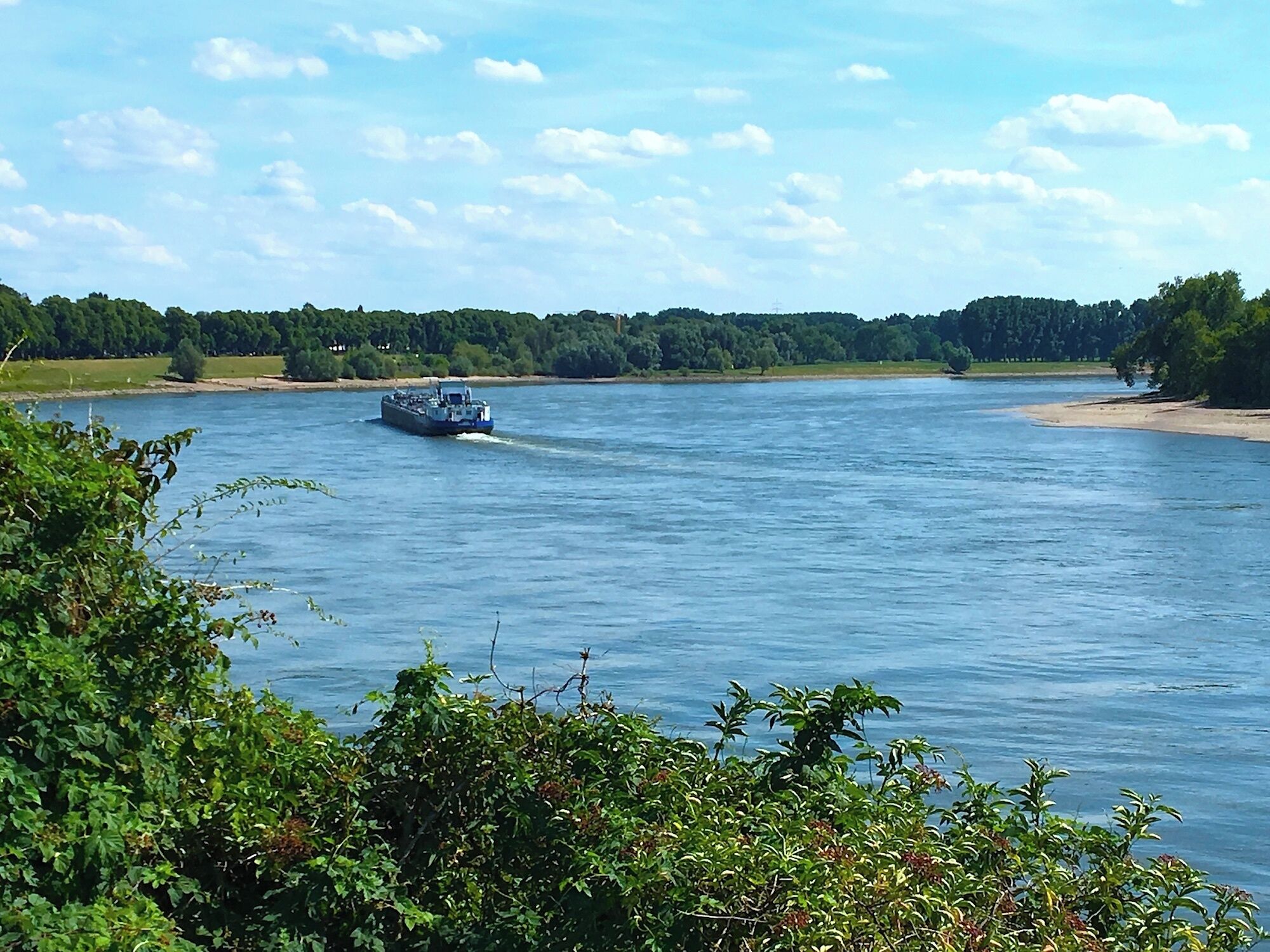 Излучина Рейна у парка Бенрат (Дюссельдорф).