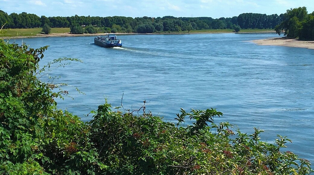 Излучина Рейна у парка Бенрат (Дюссельдорф).