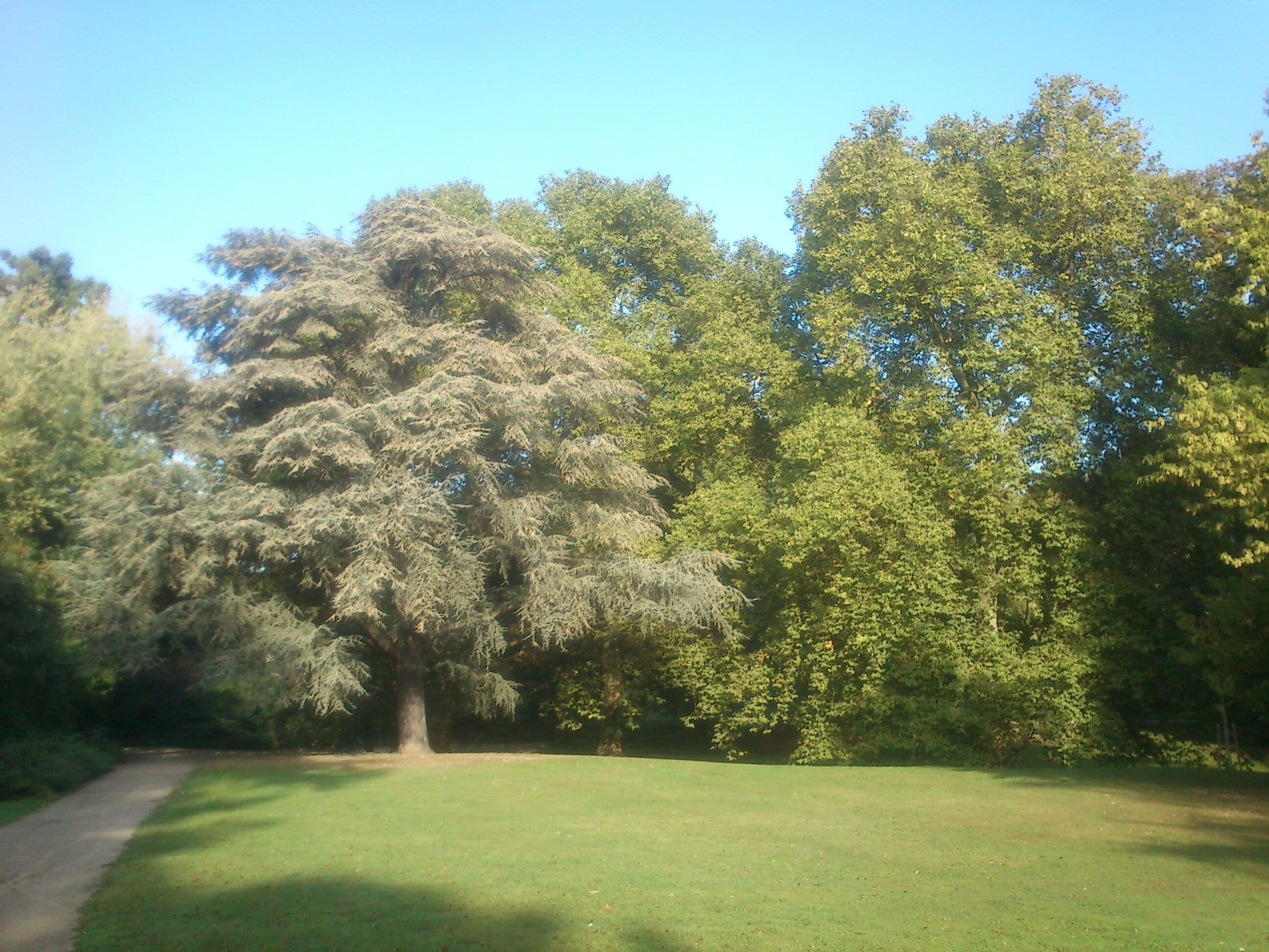 This is a photograph of an architectural monument., no. 1127