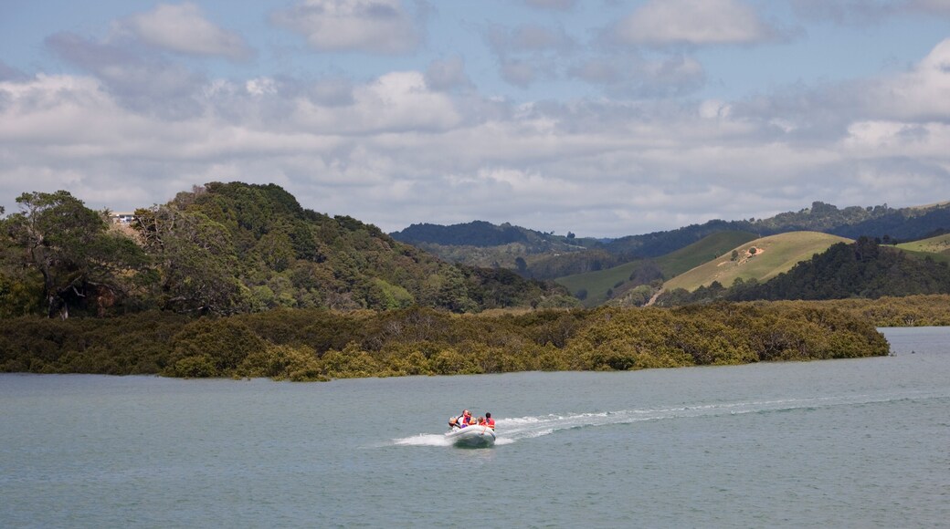 Motorboat with Family