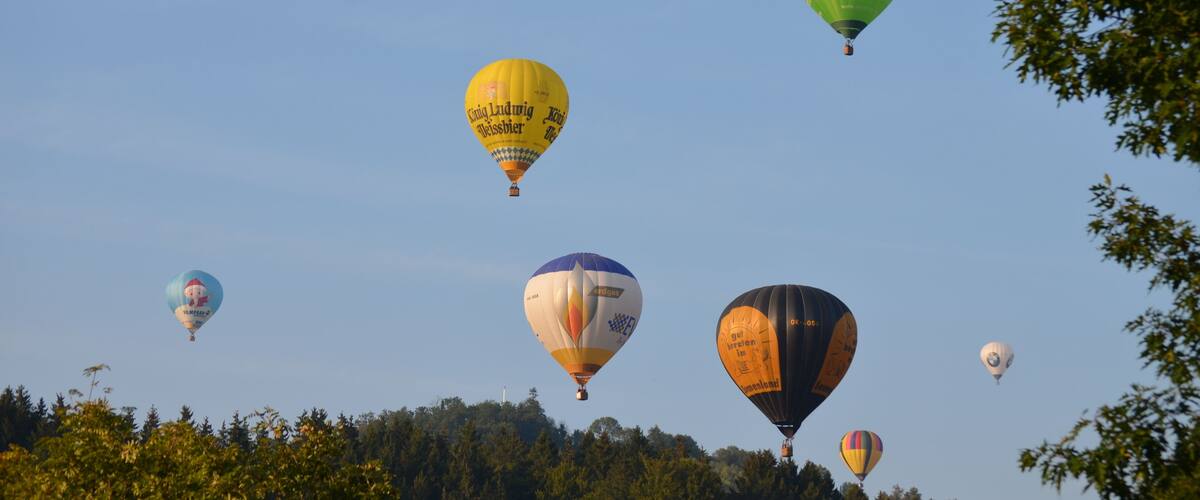 A group of colorful hot air balloons in the sky.