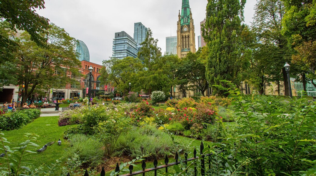 Old Toronto showing a garden and wildflowers