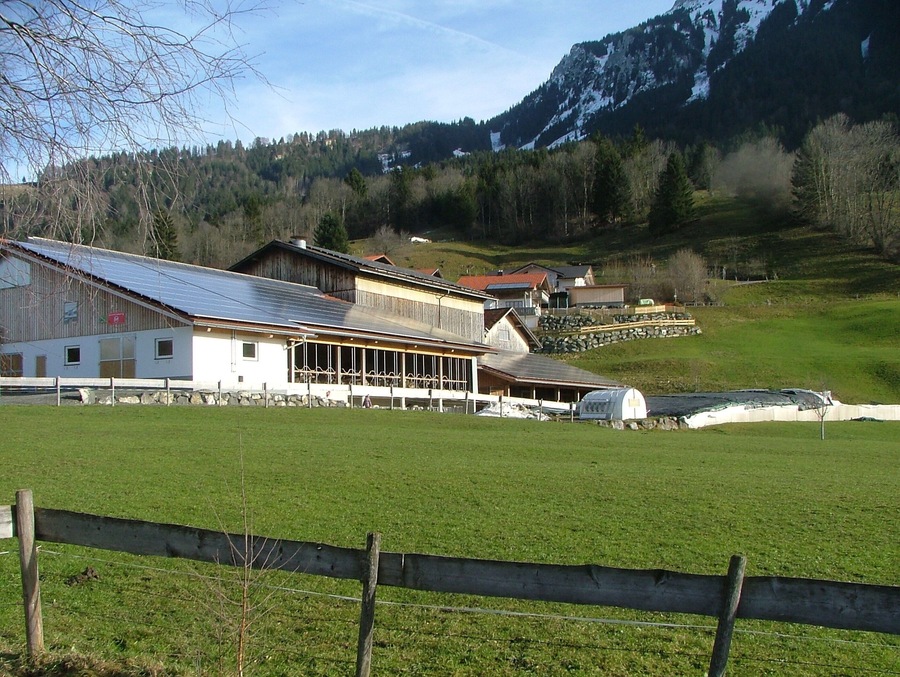 A rural farm with a barn, green fields, and a mountain in the background.