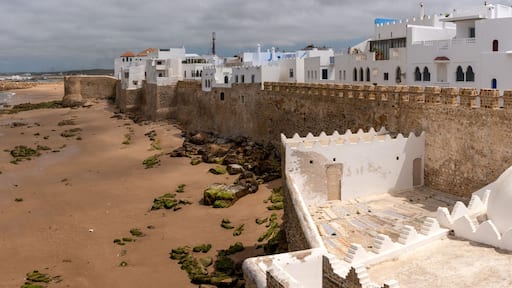 المدينة
