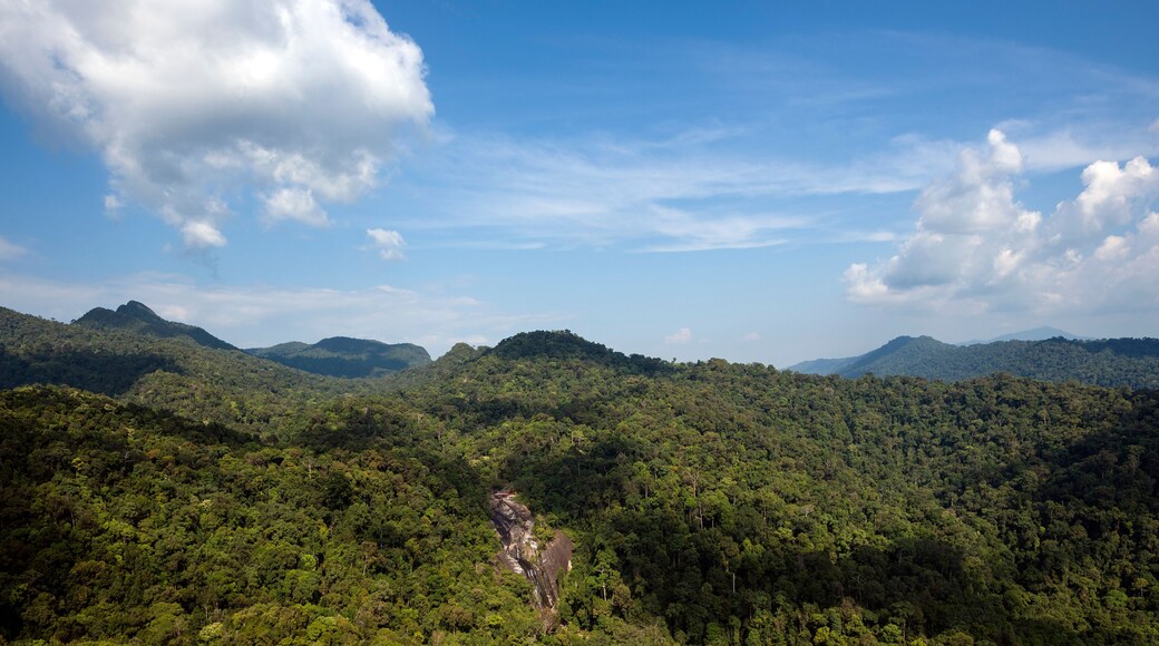 Rainforest Machincang mountain of Langkawi Island, Malaysia - The landscape of mountain view of Langkawi seen from cable car viewpoint, Langkawi, Malaysia.