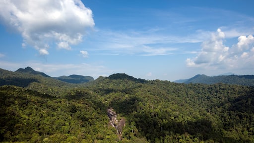 Rainforest Machincang mountain of Langkawi Island, Malaysia - The landscape of mountain view of Langkawi seen from cable car viewpoint, Langkawi, Malaysia.